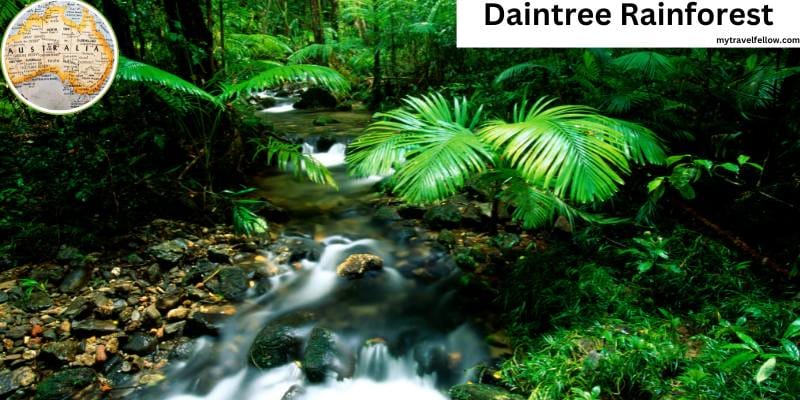 Daintree Rainforest