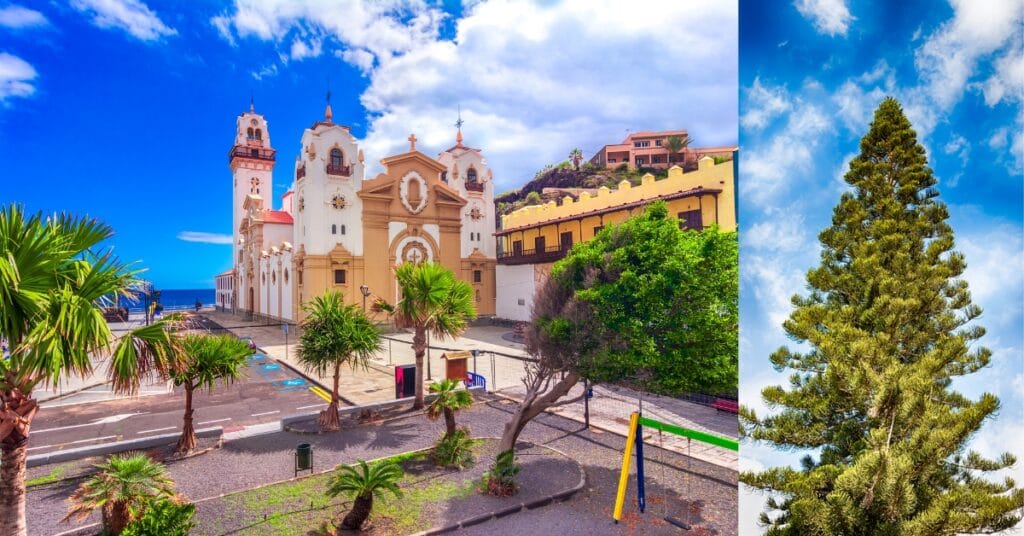 Canary islands, Spain: view of The Basilica