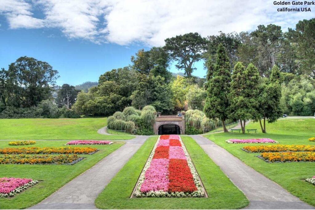 Golden Gate park