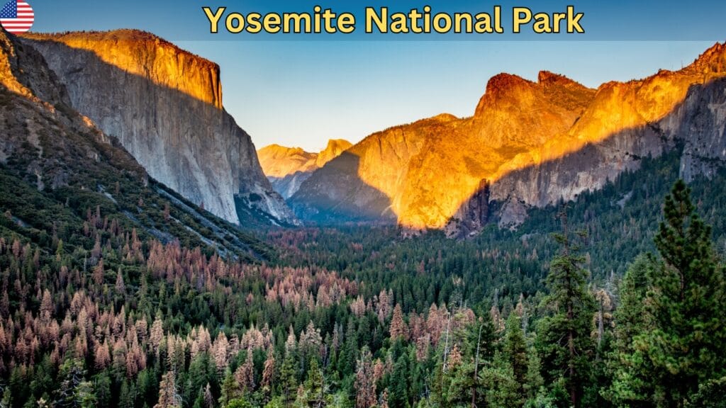 Yosemite National Park