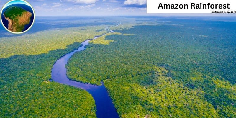 Amazon rainforest - mytravelfellow