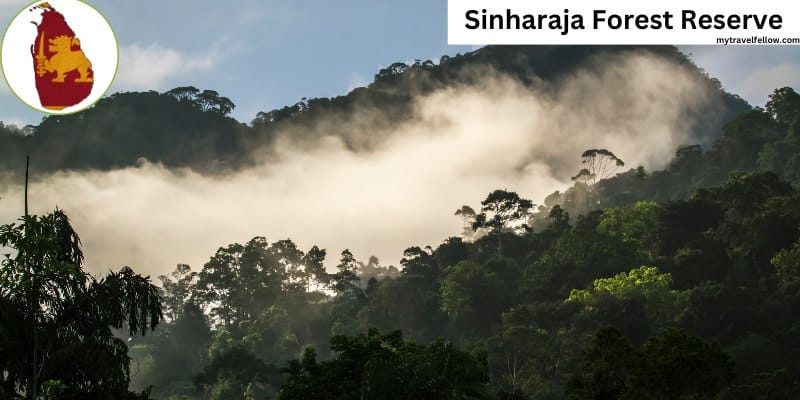 Sinharaja Forest